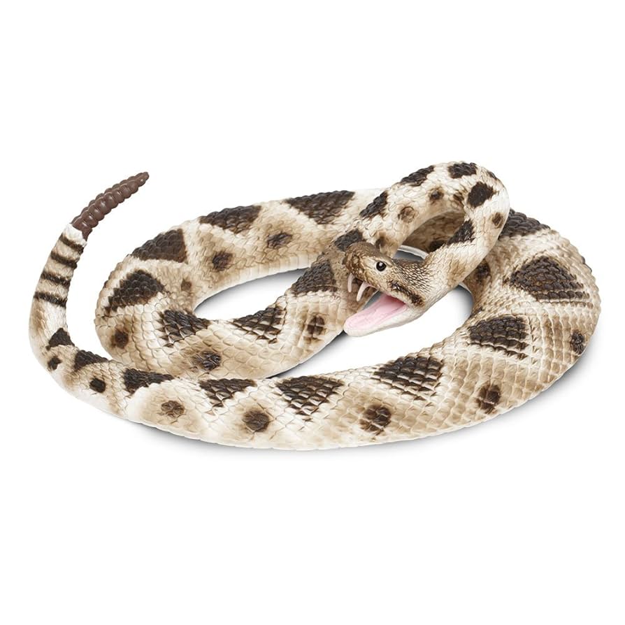 (売り切り最終価格)STAR OF HOLLYWOOD Rattle Snake STAR OF HOLLYWOOD 